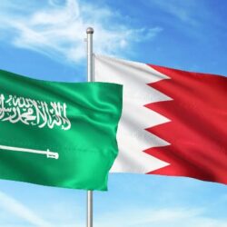 ** المنظمة العربية للسياحة تنهي مشاركتها في الإجتماع الخاص بدراسة مقترح مجلس وزراء الداخلية العرب حول إنشاء فريق من الخبراء العرب