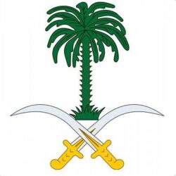 مقتل ثلاثة جنود وعنصرين إرهابيين خلال عملية أمنية شمال غرب باكستان