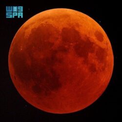 الرئيس السيسى يبحث مع جو بايدن تطورات سد النهضة ويؤكد تمسك مصر بحقوقها