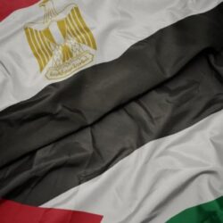 الأكاديمية العربية للعلوم والتكنولوجيا والنقل البحري فرع الشارقة تطلق شراكة مع وزارة التغيّر المناخي والبيئة