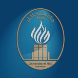 مرور منطقة حائل يضبط عددًا من قائدي المركبات قاموا بنشر مقاطع بالتواصل الاجتماعي