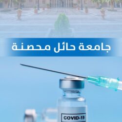 متحف شرم الشيخ بمحافظة جنوب سيناء يستقبل وفدًا من المدونين السياحيين