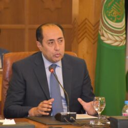 أمين عام جامعة الدول العربية: التصريحات المُسيئة للمملكة بعيدة عن اللياقة الدبلوماسية