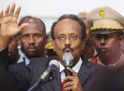 منظمة التعاون الإسلامي تدين إطلاق الميليشيا الحوثية طائرة مفخخة باتجاه المملكة