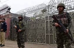 مصر والسودان يبحثان التعاون في المجالات الزراعية