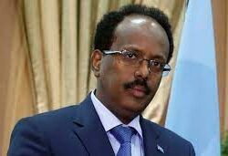 الاتحاد الأوروبي يرحب بالتطورات السياسية في الصومال