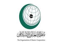 العسومي مشيداً بدور جمهورية مصر العربية والمملكة العربية السعودية تجاه القضية الفلسطينية