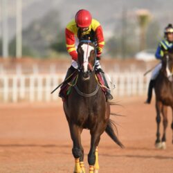 جلسة إحاطة حول “خطة عمل الاتحاد الأوروبي بشأن حقوق الإنسان والديمقراطية 2020-2024 “