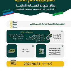 سفير المملكة لدى مصر يلتقي بنظيره الياباني