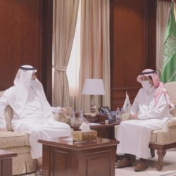 نادي الصقور السعودي ينظم آلية البيع والشراء عبر مزادات تنافسية