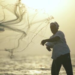 الأحساء؛ وجهة الطبيعة والأصالة في صيف السعودية