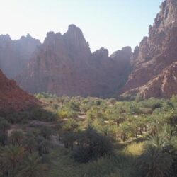 مدير فرع وزارة الخارجية بمنطقة مكة المكرمة يستقبل المندوب الدائم لجمهورية الصومال