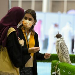 “الرقابة ومكافحة الفساد” توقف 207 مواطنين ومقيمين بتهم فساد