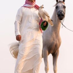 الجامعة العربية تُحذر من مغبة التصعيد بين جنوب لبنان وإسرائيل
