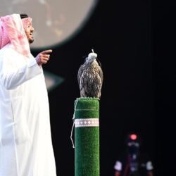 – وصول مركب الملك خوفو الأولى إلى المتحف المصري الكبير