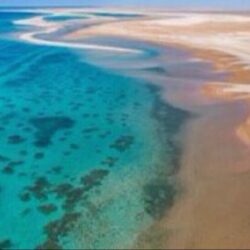 – جولة تفقدية لوزير السياحة والآثار بمشروعات تطوير مباني أثرية بالقاهرة التاريخية والفسطاط.