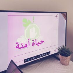 أمير منطقة مكة المكرمة يستقبل معالي الأمين العام لمجلس التعاون لدول الخليج العربية