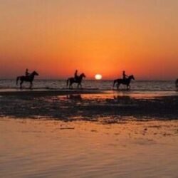 ‏شرطة منطقة حائل: ضبط (60) شخصًا في تجمع مخالف للإجراءات الاحترازية والتدابير الوقائية