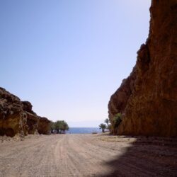 “جمعية زارعي القوقعة اسمعك” تثمن دعم أوقاف الماجد لتأمين قطع غيار لجهاز القوقعة الإلكترونية