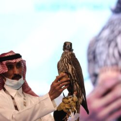 مركز شباب عجمان يمهد لعودة النشاط الرياضي