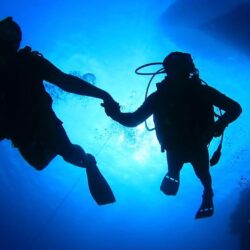 تباهي جديد وشرطة جازان تصرح تم ايقافهما