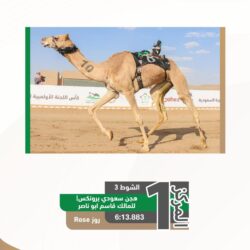 ‏‎#وزارة_التعليم تعلن آلية اختبارات نهاية الفصل الدراسي الأول لجميع المراحل الدراسية.