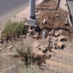 إنطلاق ورشة إعلام صديق للطفولة في أبو ظبي بتنظيم من المجلس الإماراتي للأمومة والطفولة وجامعة الدول العربية والمجلس العربي للطفولة واجفند