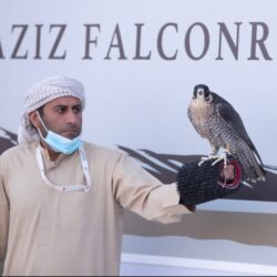 الصقارون الدوليون يشيدون بتطور مهرجان الملك عبدالعزيز للصقور