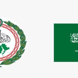 نيفين جامع: نحتاج المزيد من التعاون والتنسيق من أجل دعم العمل العربي المشترك