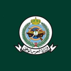 كأس السعودية يحطم الرقم القياسي كأغلى شوط في العالم