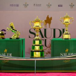 فهد التركي : المشاورات لوقف الحرب ورفع المعاناة عن الشعب اليمني