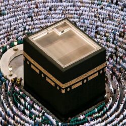 القثامي يسلم 30 طالبا شهادات اتمام دورة أجهزة التحليل الكروماتوغرافي