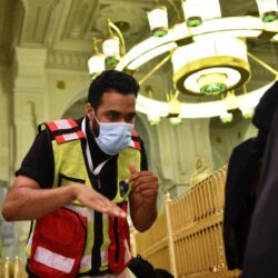 الاعلامي وائل رفيق يومياً في بث مباشر من المسجد النبوي على الاخبارية