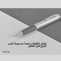 المسؤول ؛ وحساسيته للنقد