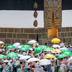 ” تخصصي تبوك ” الأول على مستشفيات المنطقة في مؤشر الالتزام بالسلامة الدوائية