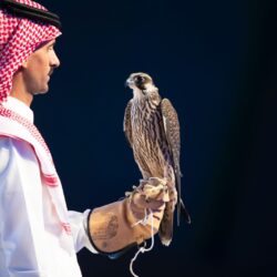 أبطال السعودية الدولية يعودون إلى المملكة للمنافسة في بطولة ليف قولف إنفايتيشونال جدة المقدمة من روشن