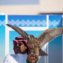 نادي الصقور السعودي يتوّج الفائزين في فئة «جير شاهين فرخ» بسباق الملواح