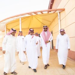 سمو ولي العهد يعتمد التوجه التنموي لجزيرة دارين وتاروت، ويوافق على إنشاء مؤسسة لتطوير الجزيرة