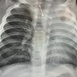 الأساسية للإلكترونيات تشارك في معرض البناء السعودي 2022