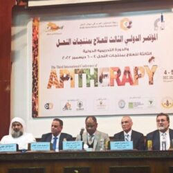 (إثراء) يشارك في مهرجان البحر الأحمر بباقة من المشاريع السينمائية 