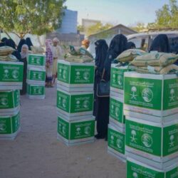 الفيصل : الجمهور سيحظى بعطلة نهاية أسبوع حافلة بالإثارة على صعيد السباقات