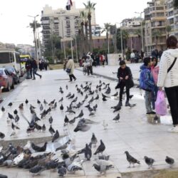 هيئة الأمر بالمعروف بمحافظة طريف تفعّل المصلى المتنقل في مهرجان الصقور