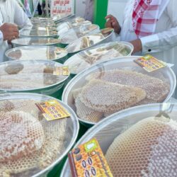 #السعودية توقع مشاريع لصالح متضرري الزلزال في #سوريا و #تركيا بأكثر من 183 مليون ريال