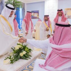 ابوالغيط يرحب باتفاق وقف اطلاق النار في السودان خلال ايام العيد 