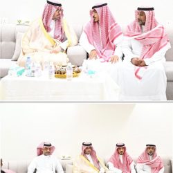 حصلت الإعلامية وسيدة الأعمال السعودية سميرة عزيز على جائزة الأداء غير العادي عن الحياة المهنية