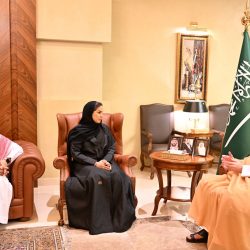 هيئة الربط الكهربائي لدول مجلس التعاون تحتفل بالربط مع جمهورية العراق …. الاسبوع المقبل