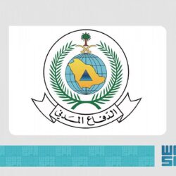 قضية ممثل “السعودية”تثير تساؤلات قرطاج “تونس