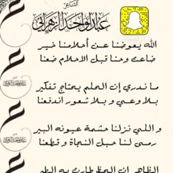 الهيئات والمؤسسات الاسلامية السعودية تحارب الارهاب قولًا وعملًا: