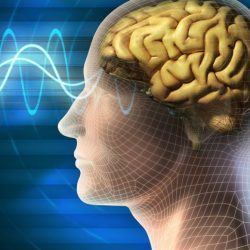 أبو الغيط يستقبل المفوض السامي لشئون اللاجئين