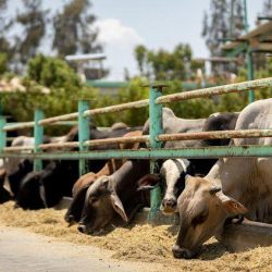 #الهيئة_العامة_للإحصاء تعلن النتائج الرئيسة لتعداد السعودية 2022م.